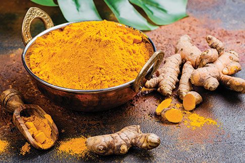 Curcumin: The All-In-One-Solution