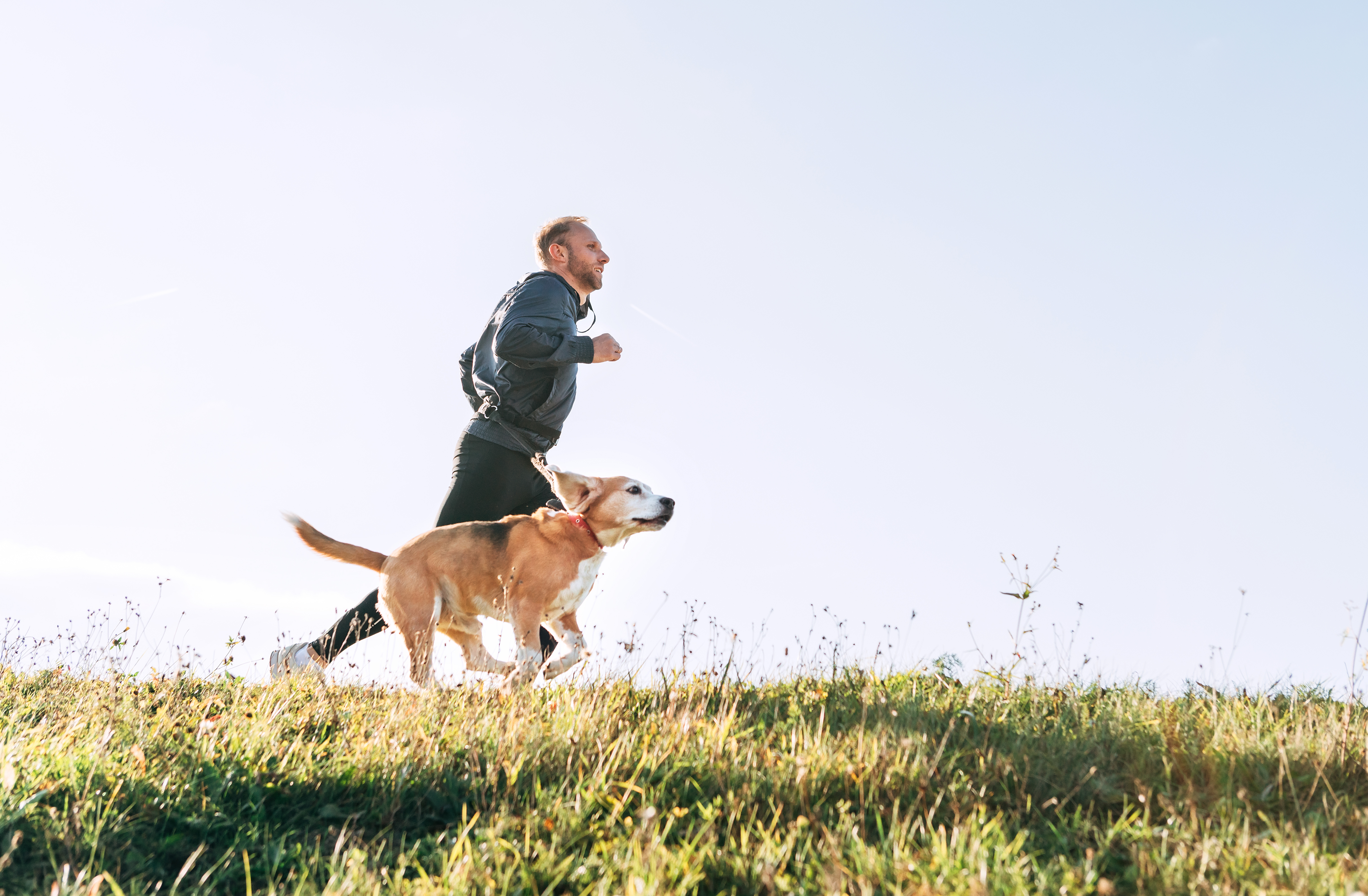 Help Your Best Friend Stay Active