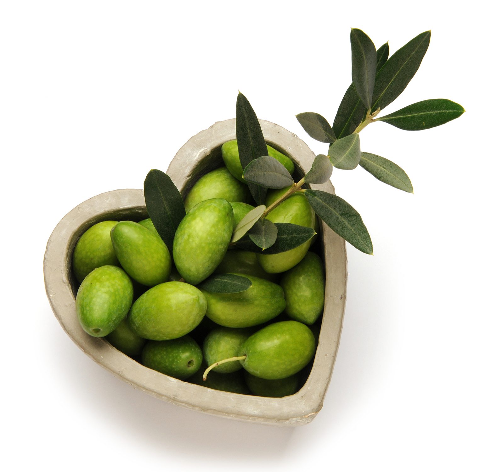 Olive Extract for Healthy Aging