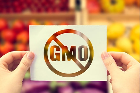 The Hidden Dangers of Genetically Modified Foods