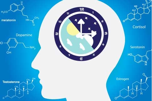 The Miracle of Melatonin—Health Beyond Restorative Sleep