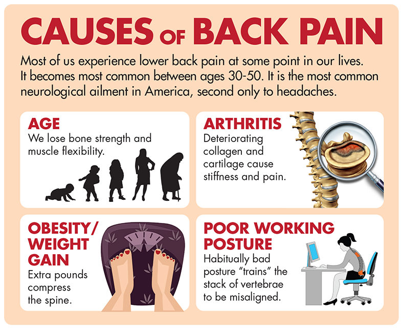 Causes of Back Pain