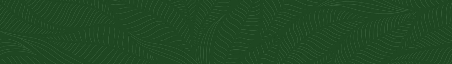 ADAPTOGENS