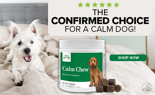 CALM CHEW™ • The Confirmed Choice for a Calm Dog!